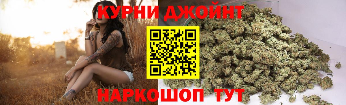 Шишки марихуана планчик Лесной